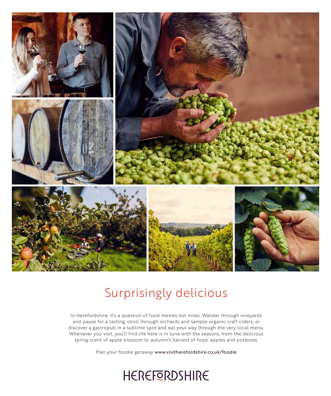 Olive Magazine Preview Pages