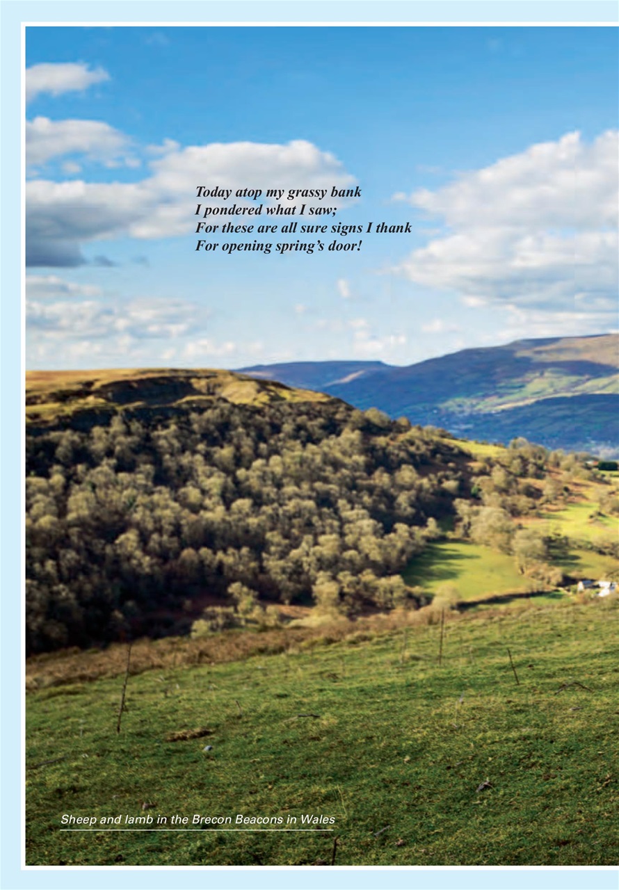 Evergreen Preview Pages