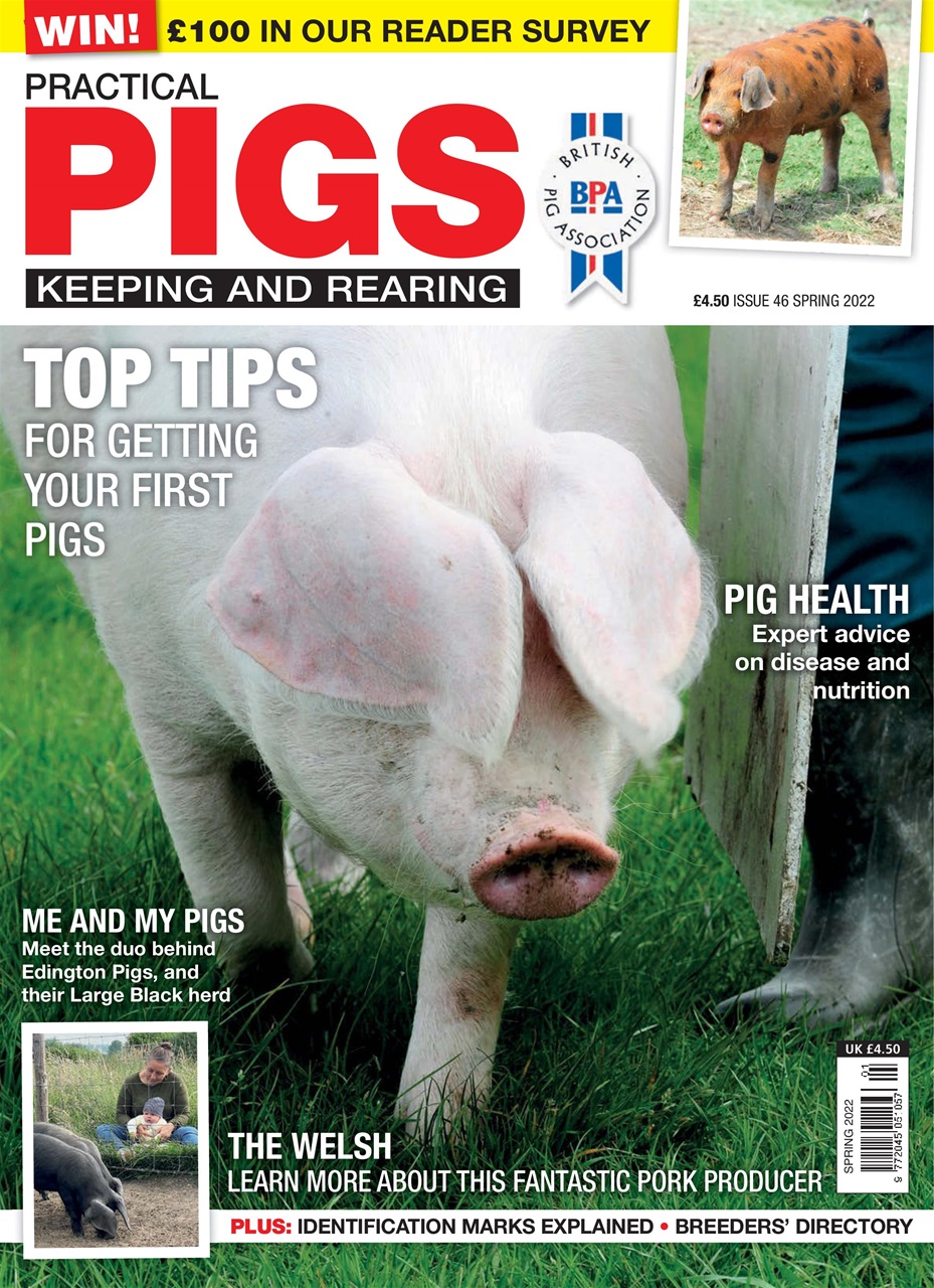 Practical Pigs Preview Pages