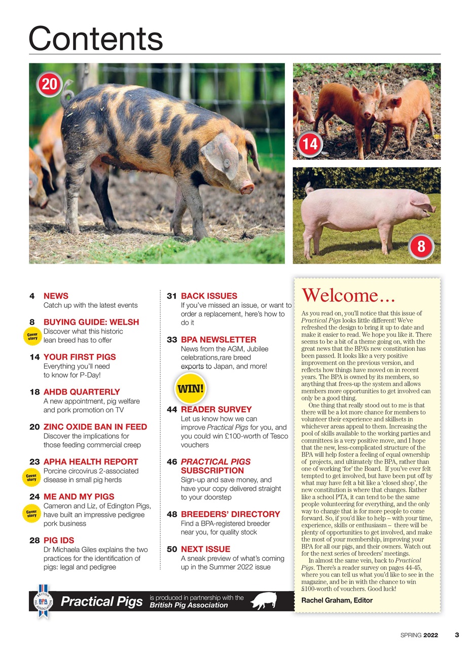 Practical Pigs Preview Pages