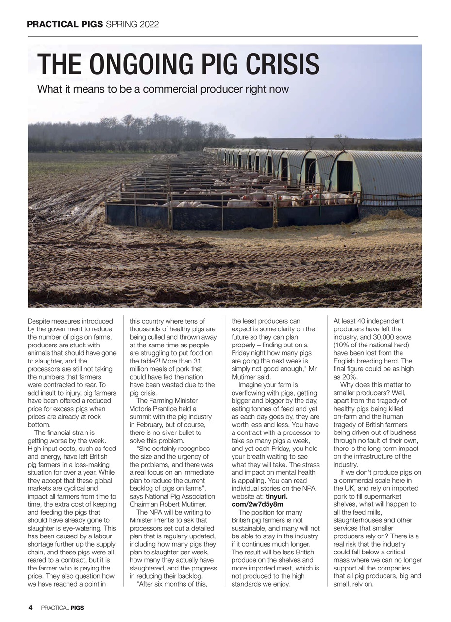 Practical Pigs Preview Pages