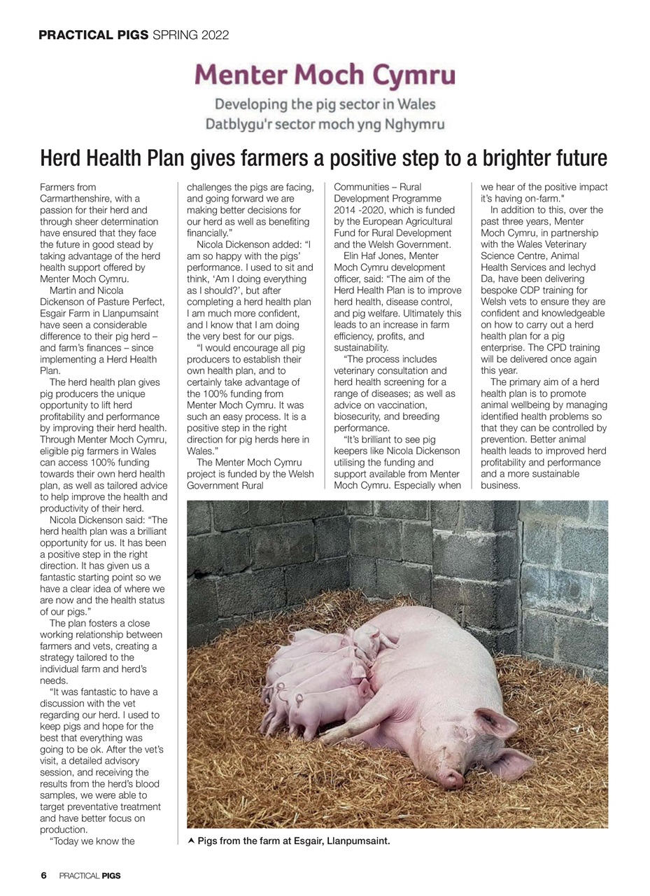 Practical Pigs Preview Pages