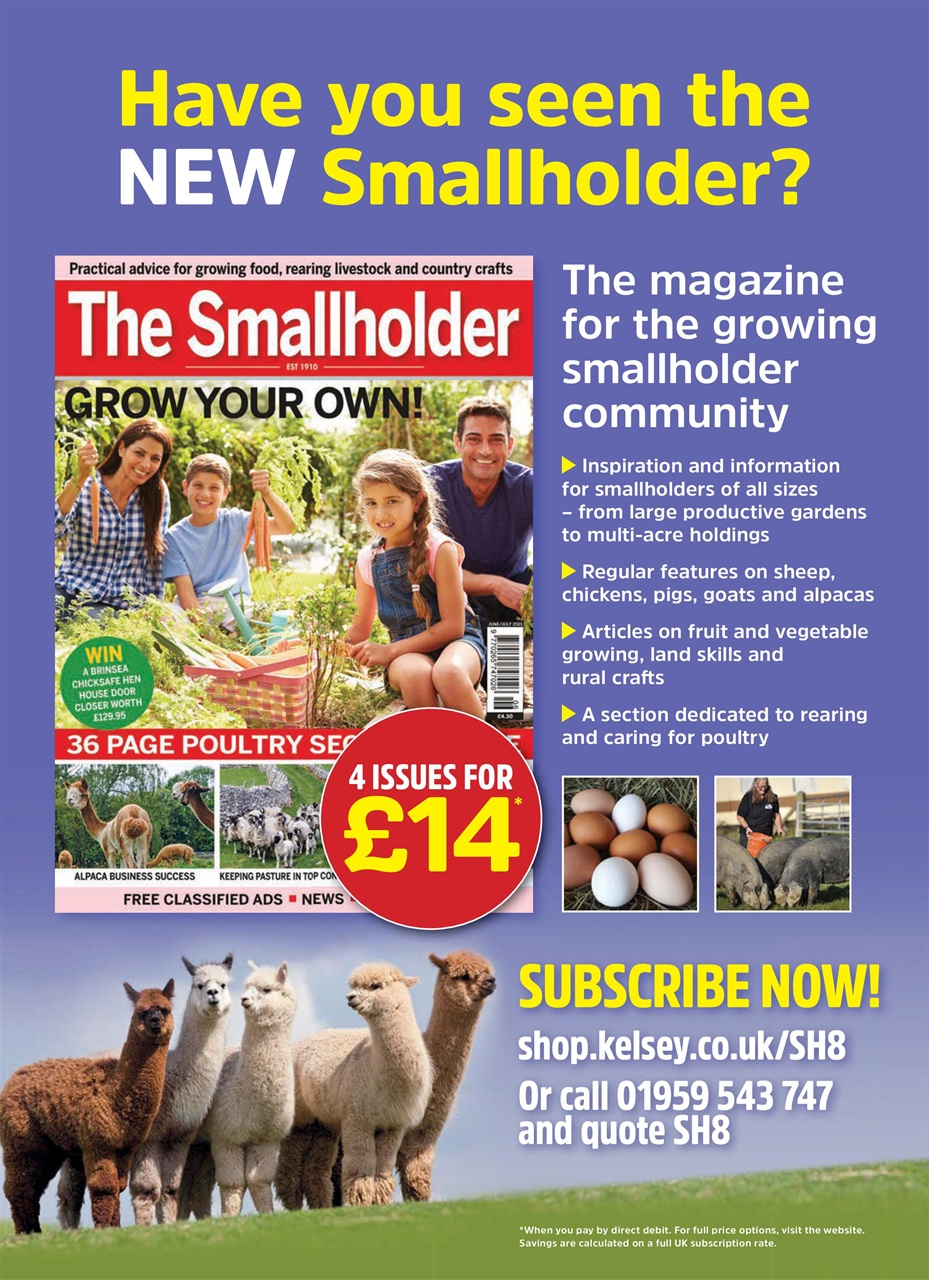 Practical Pigs Preview Pages