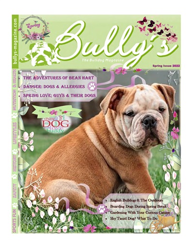 Bully’s - The Bulldog Magazine issue 