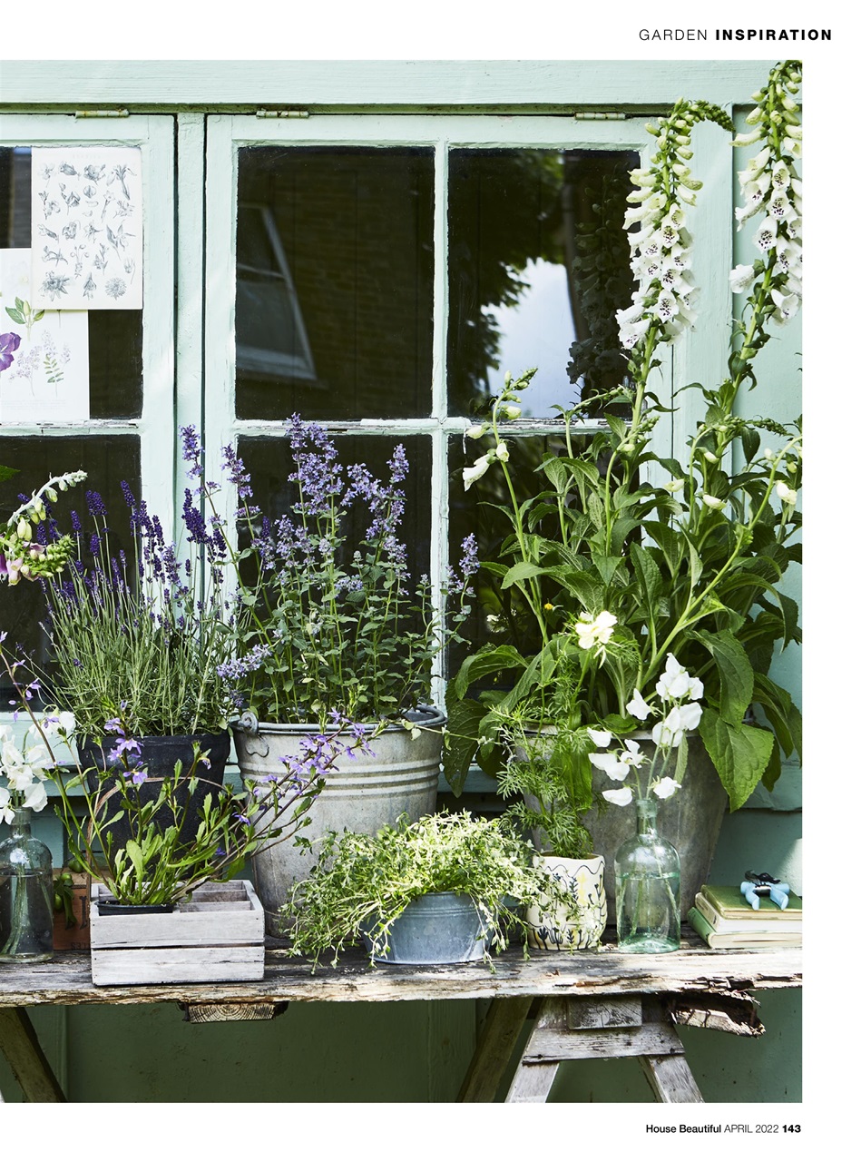 House Beautiful Preview Pages