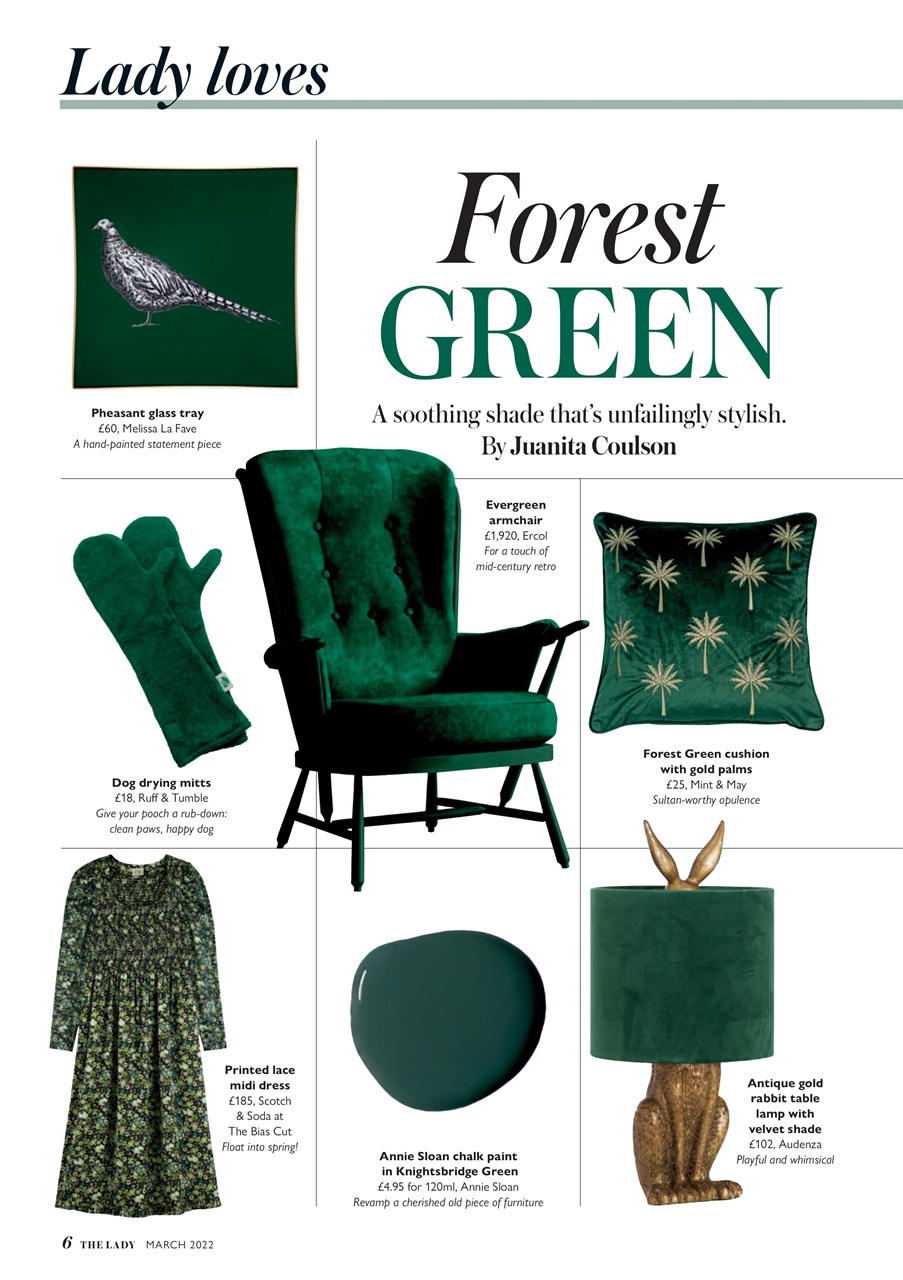 The Lady Preview Pages