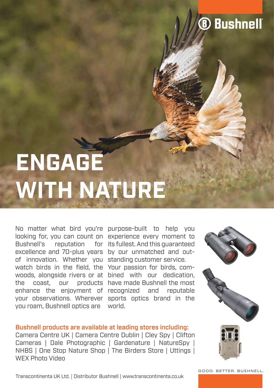 Bird Watching Preview Pages