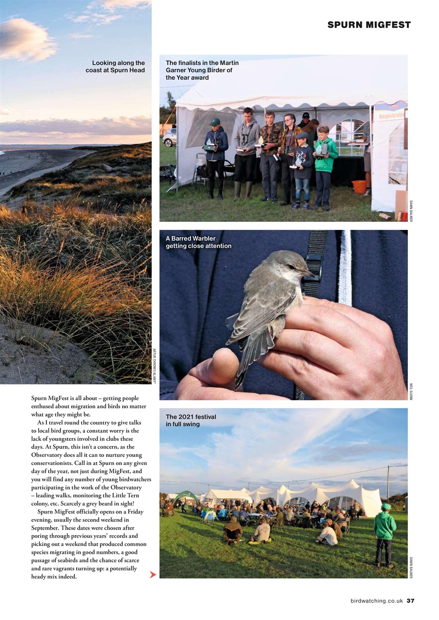 Bird Watching Preview Pages