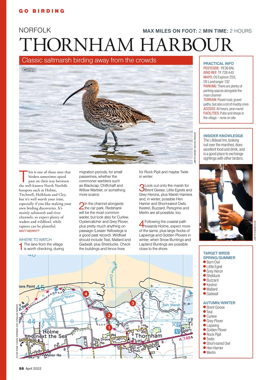 Bird Watching Preview Pages