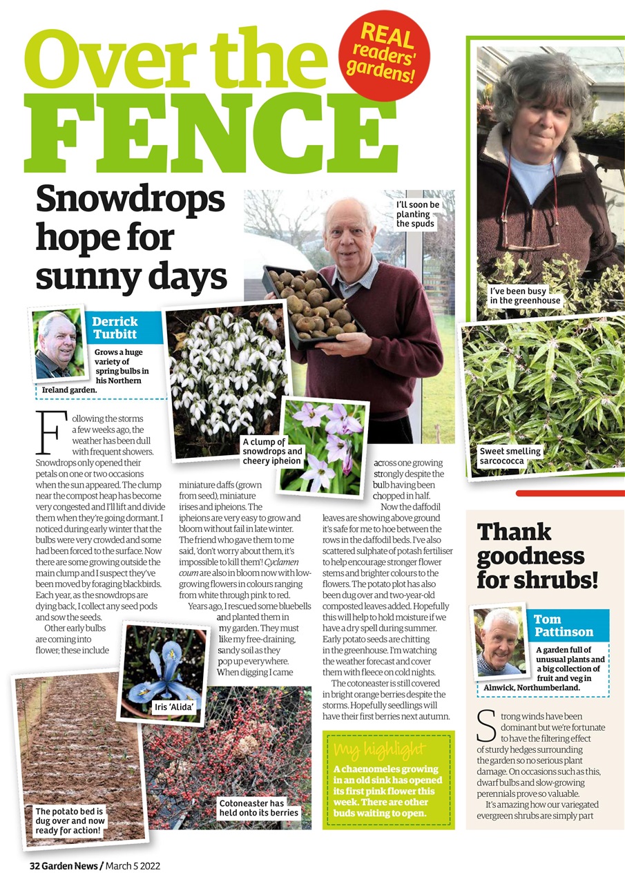 Garden News Preview Pages