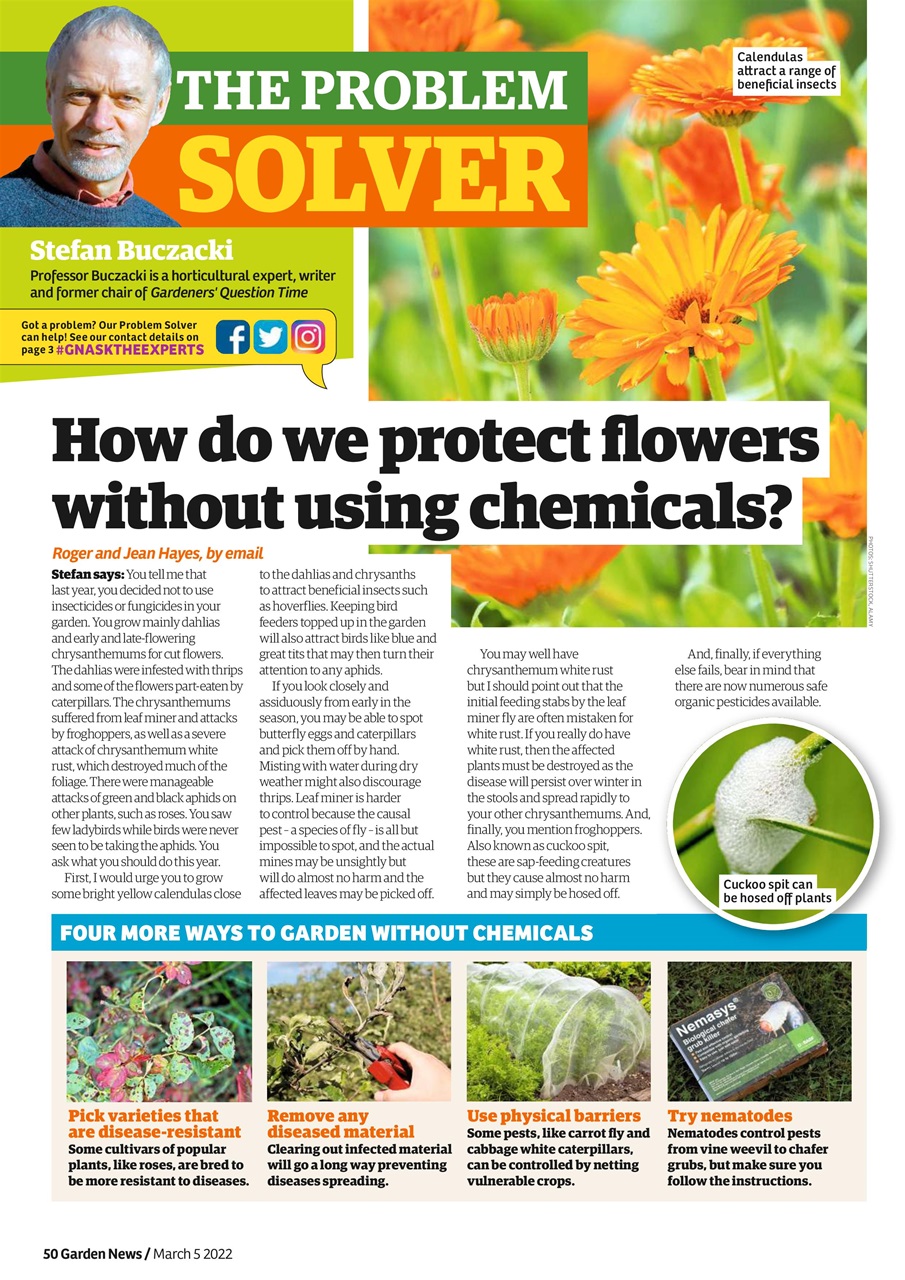 Garden News Preview Pages