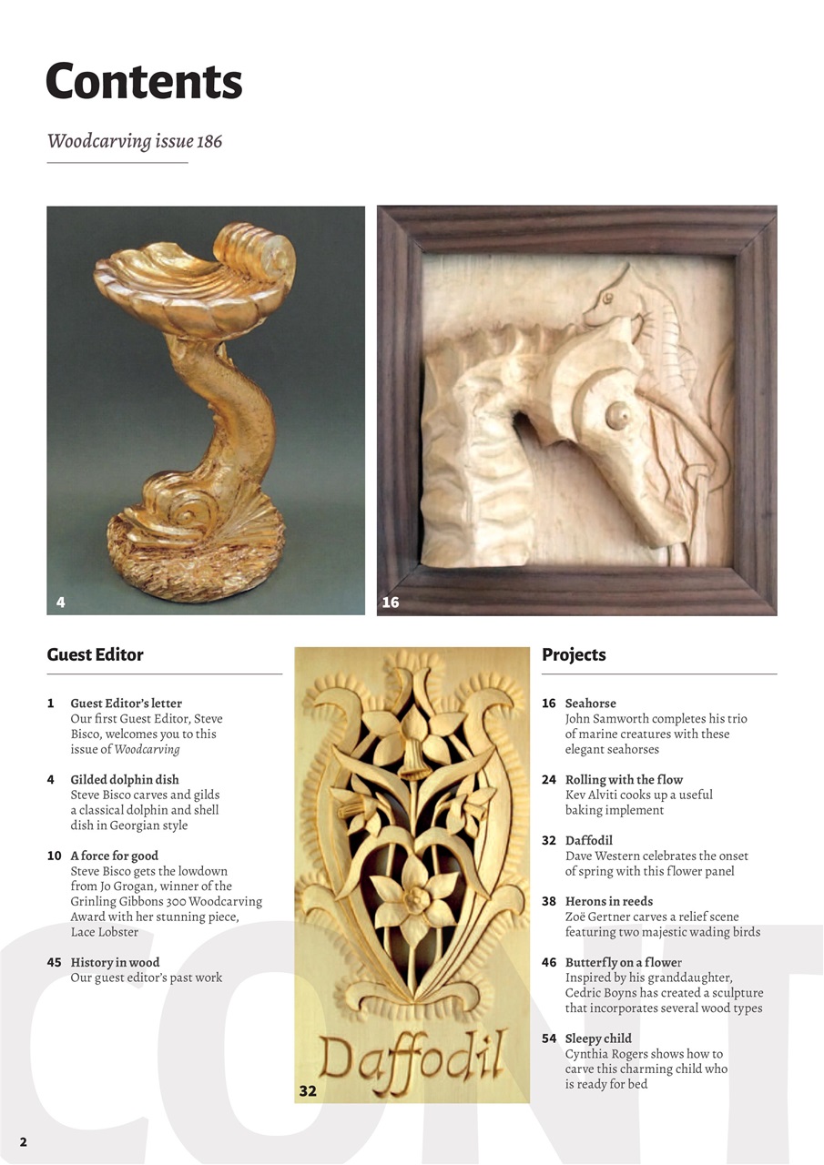 Woodcarving Preview Pages