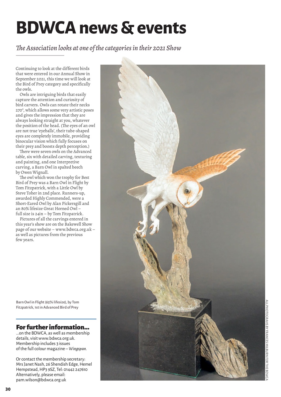 Woodcarving Preview Pages