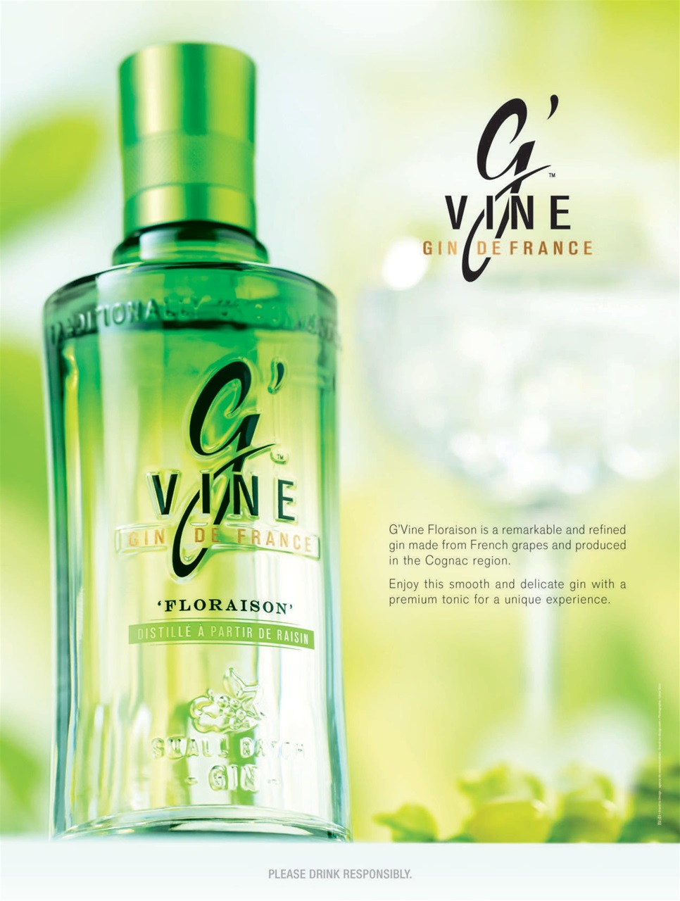 Gin Magazine Preview Pages