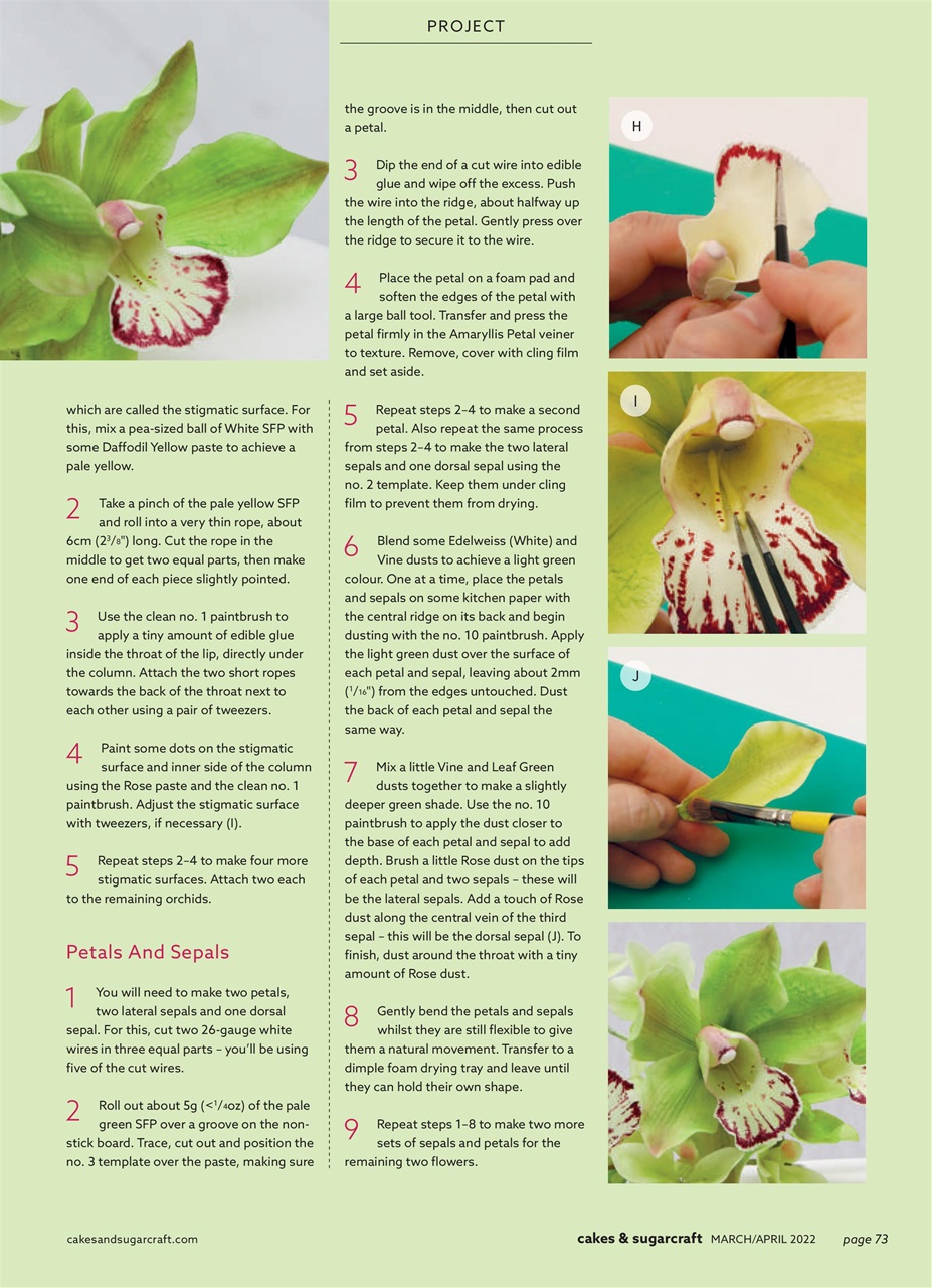 Cakes & Sugarcraft Preview Pages