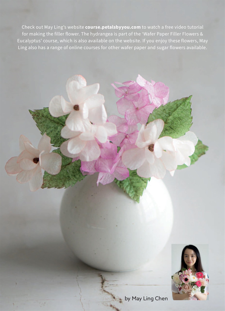 Cakes & Sugarcraft Preview Pages