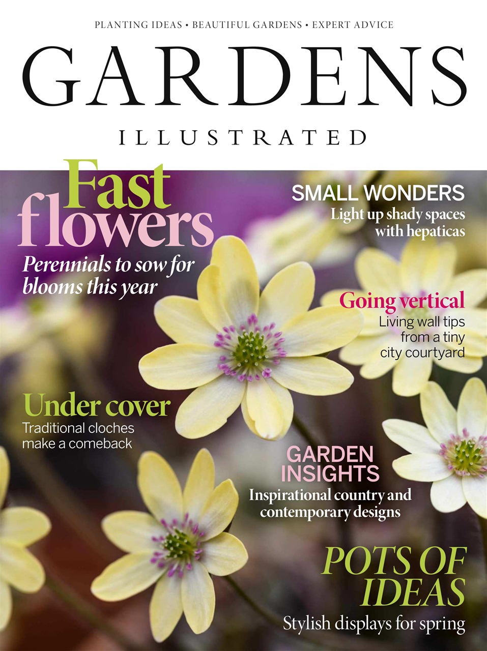 Gardens Illustrated Preview Pages