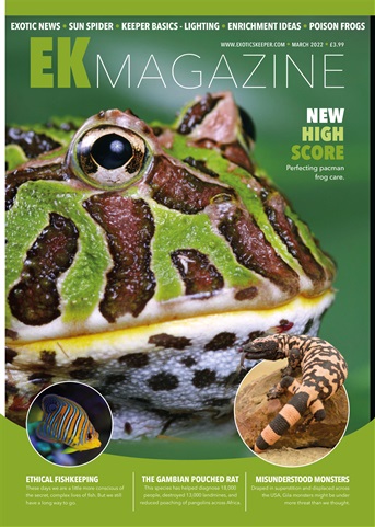 Exotics Keeper issue March 2022