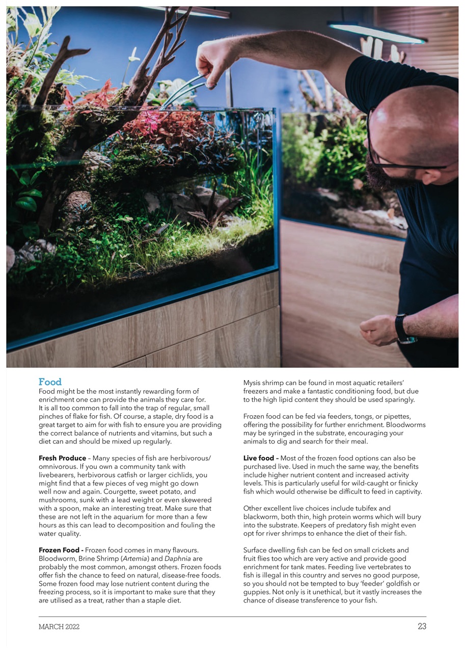 Exotics Keeper Preview Pages