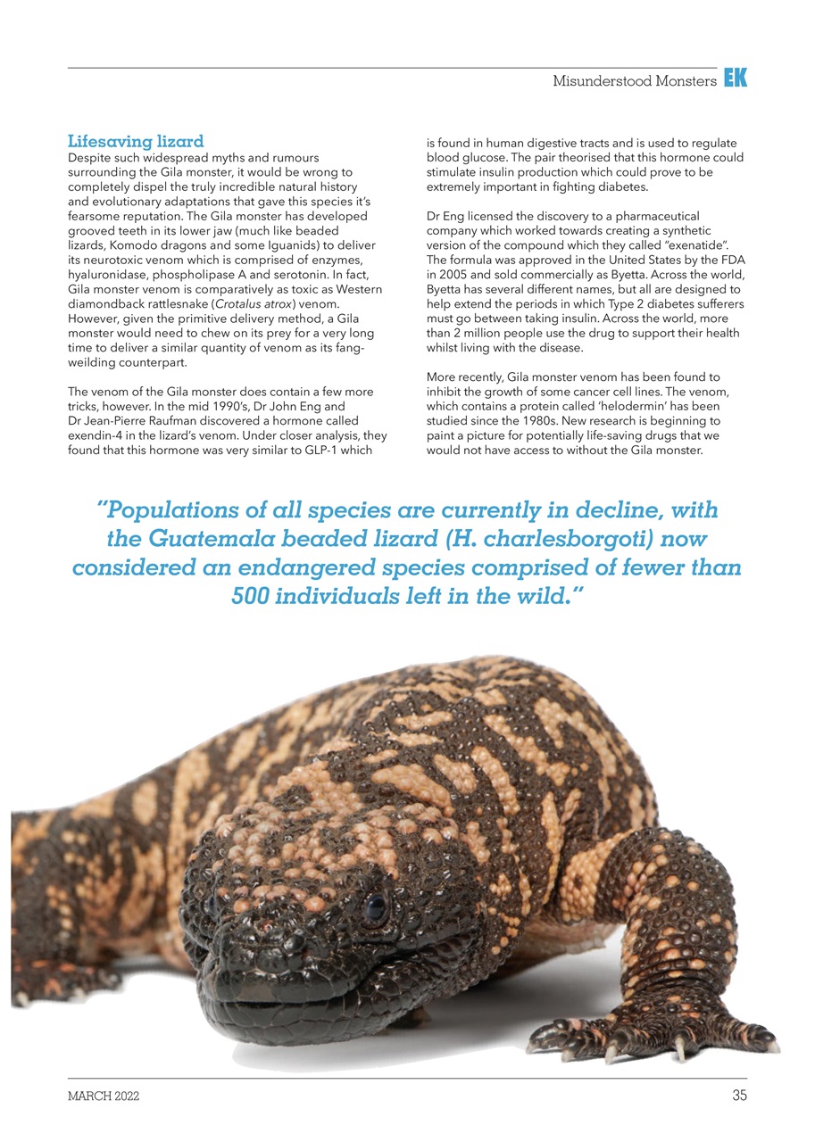 Exotics Keeper Preview Pages