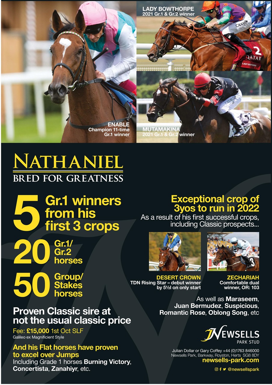 The Owner Breeder Preview Pages