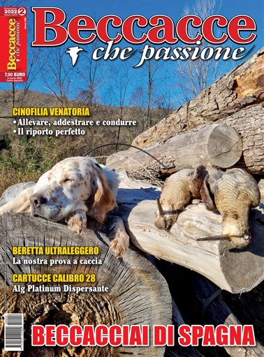 BECCACCE CHE PASSIONE issue 