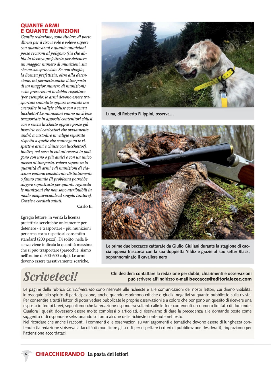 BECCACCE CHE PASSIONE Preview Pages