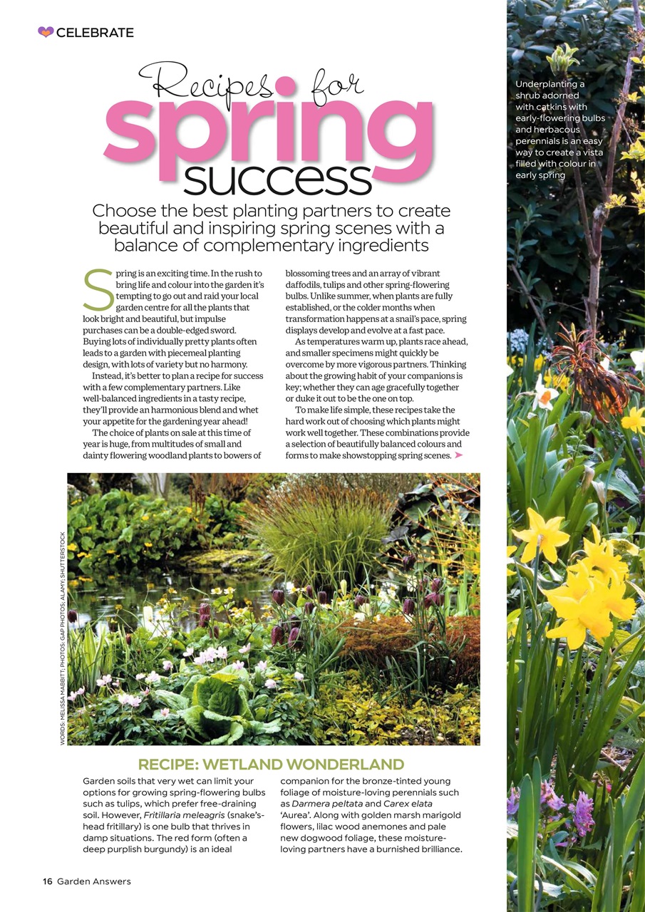 Garden Answers Preview Pages