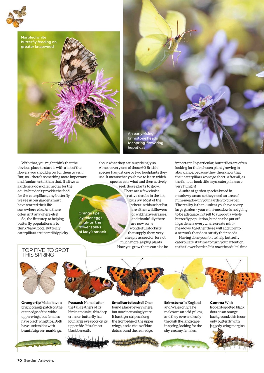 Garden Answers Preview Pages