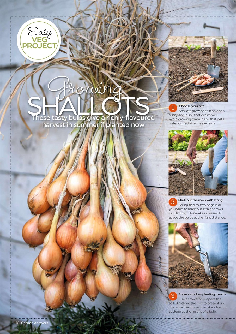 Garden Answers Preview Pages