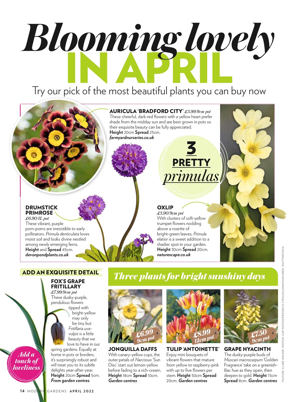 Modern Gardens Preview Pages