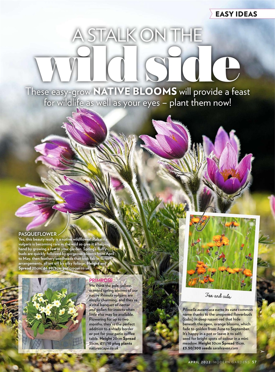 Modern Gardens Preview Pages