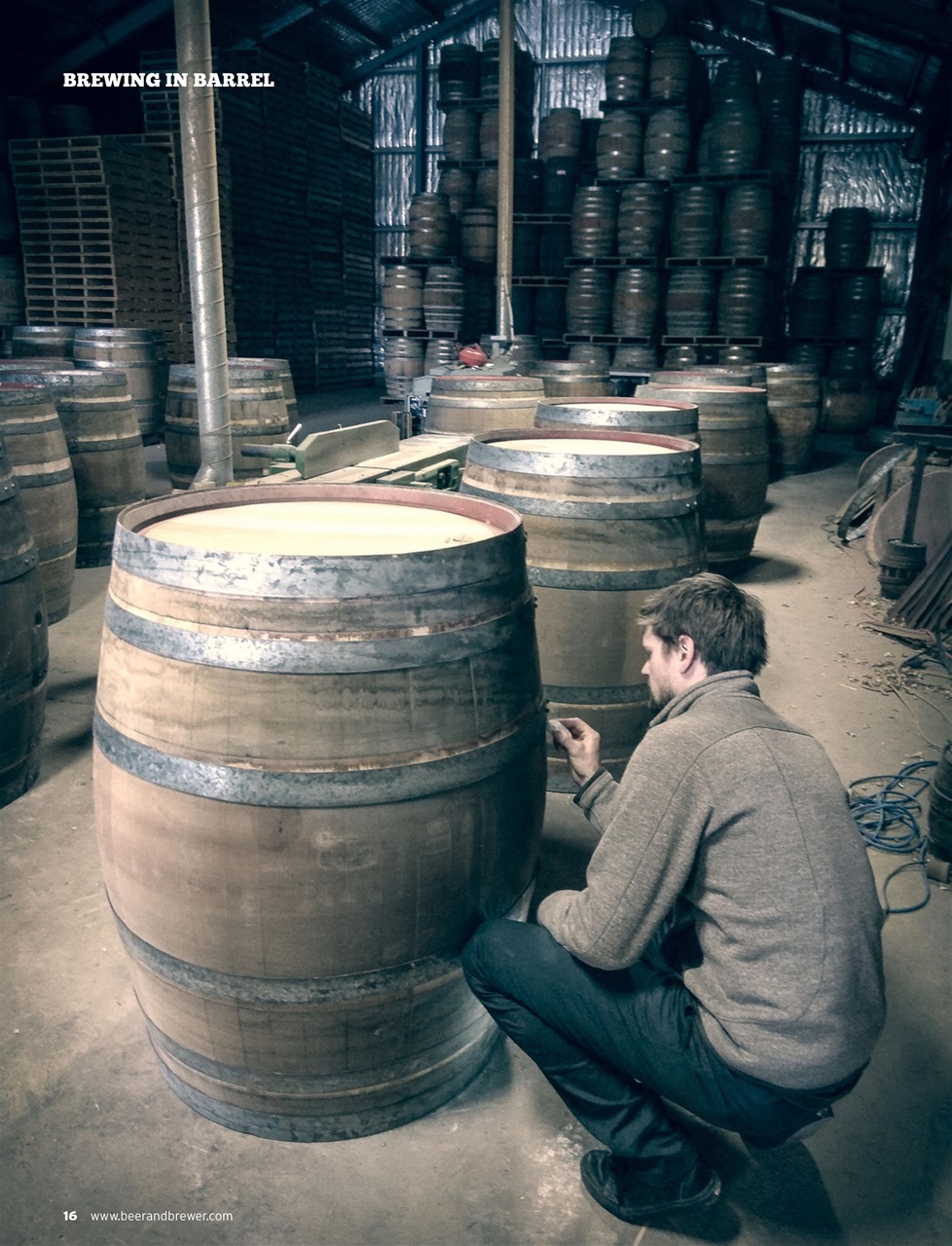 Beer and Brewer Preview Pages