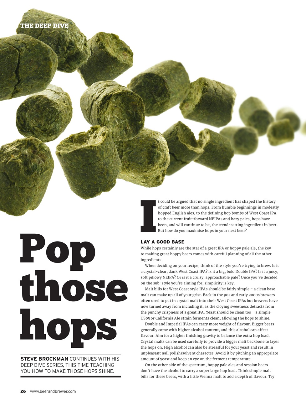 Beer and Brewer Preview Pages