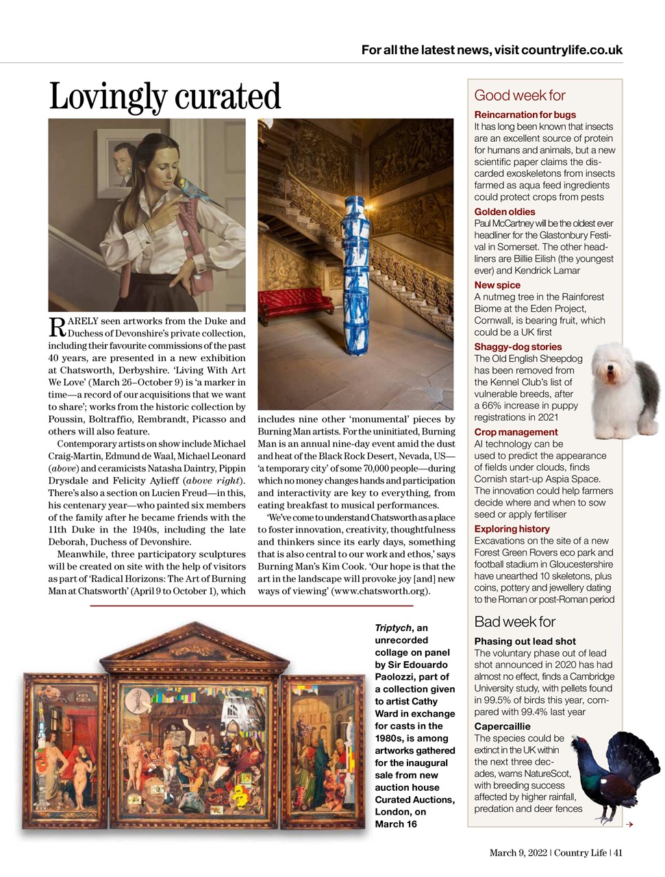 Country Life Preview Pages