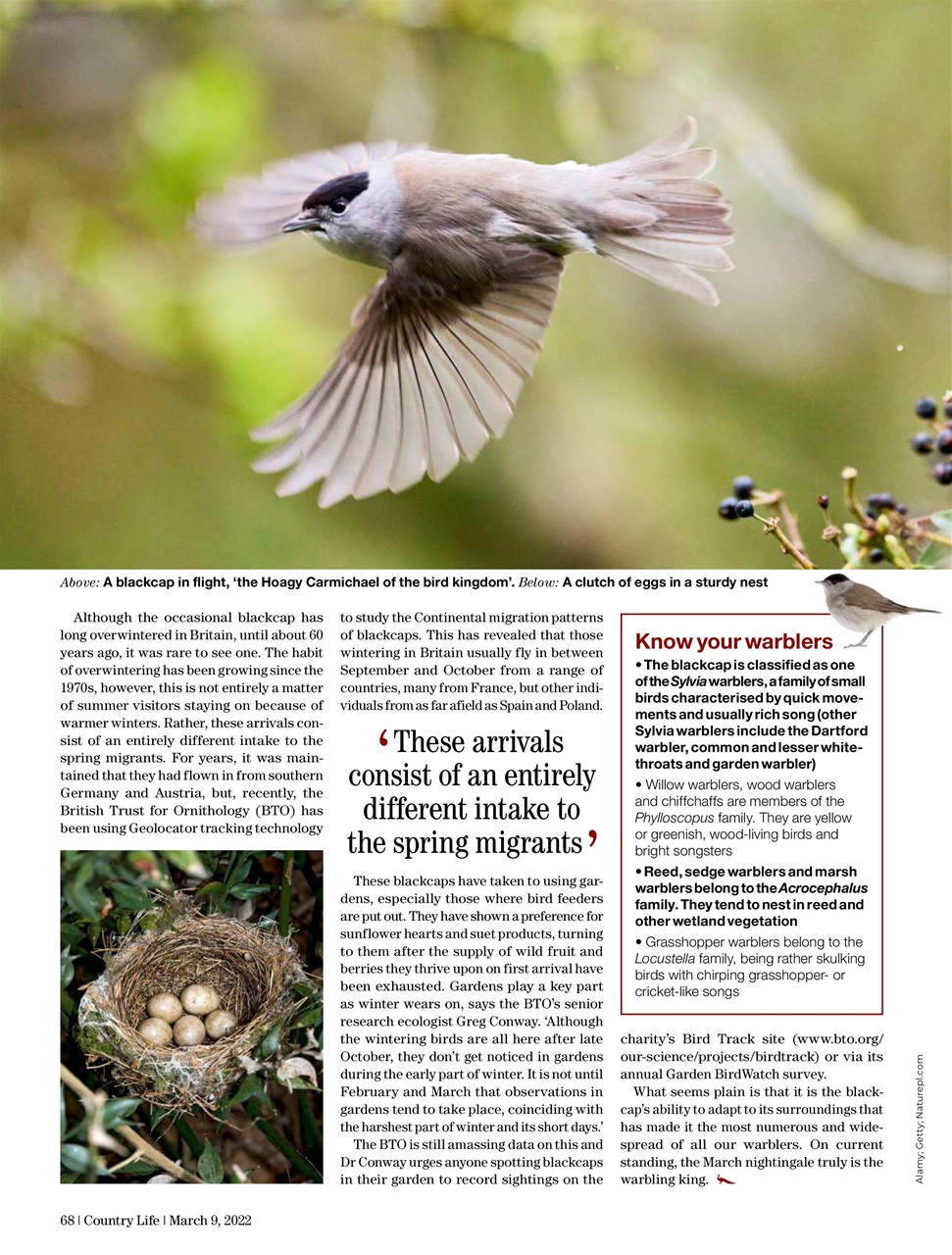 Country Life Preview Pages