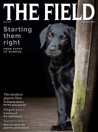 The Field issue 