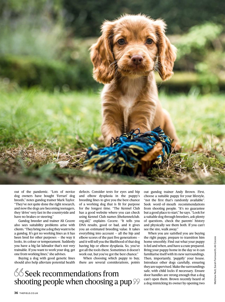 The Field Preview Pages