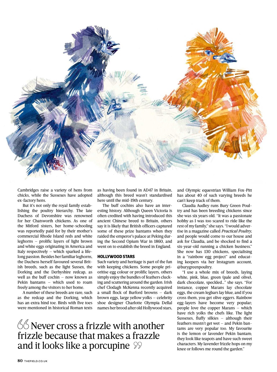 The Field Preview Pages