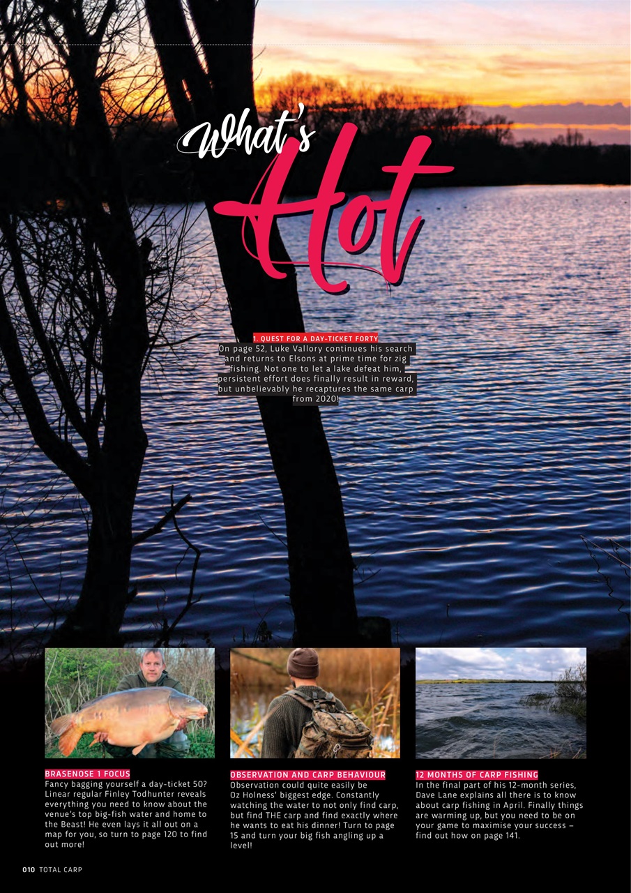 Total Carp Preview Pages