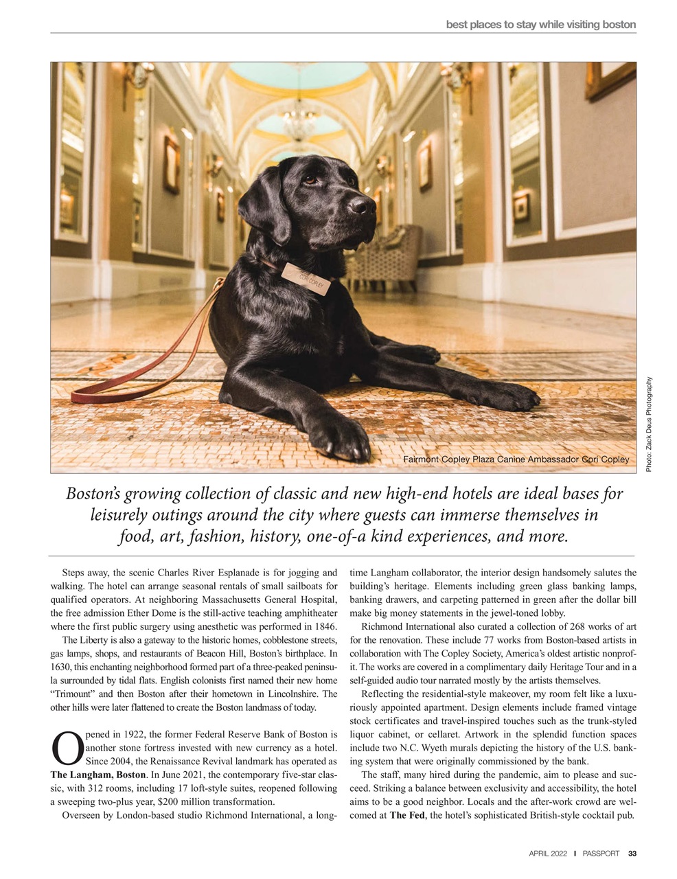 Passport Preview Pages