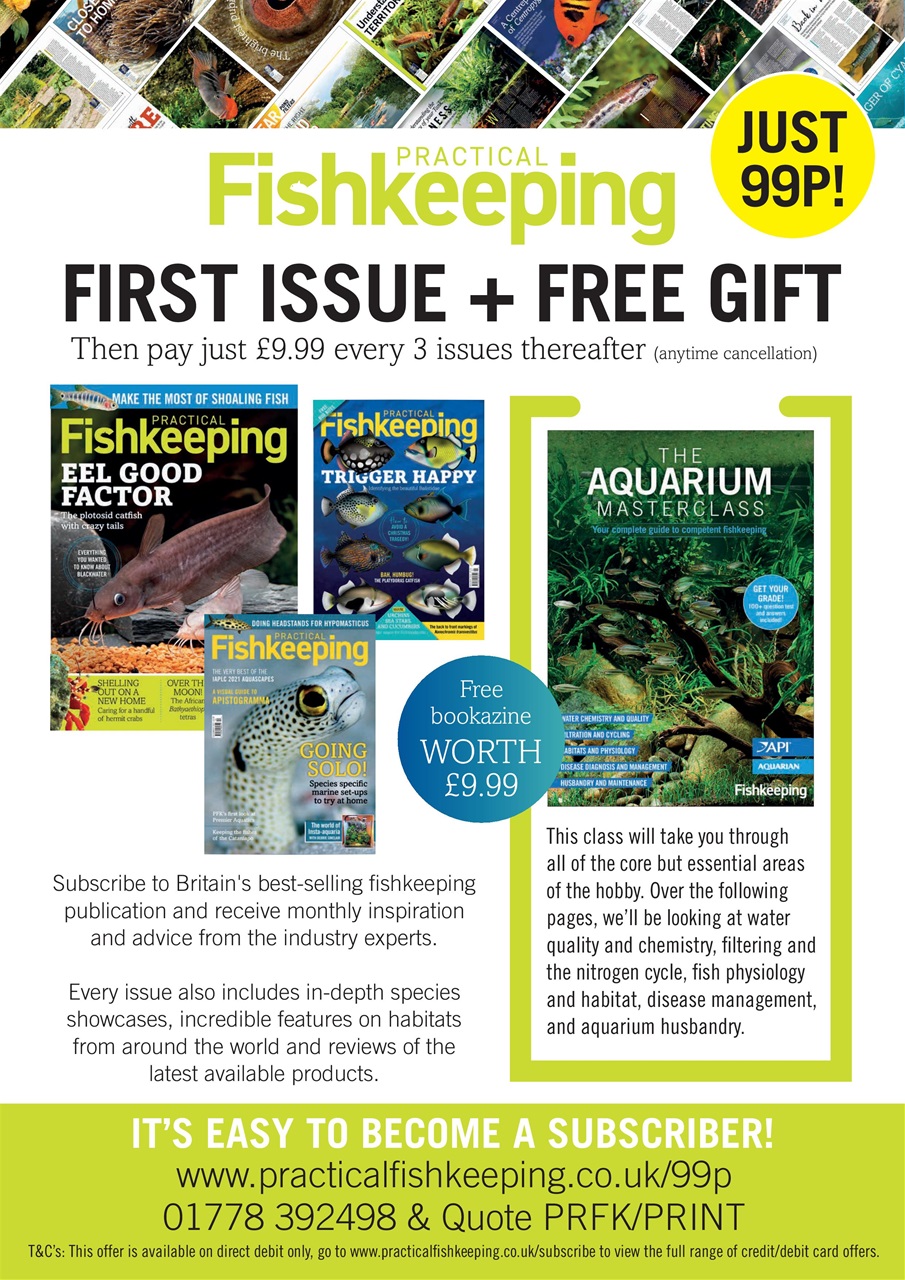 Practical Fishkeeping Preview Pages