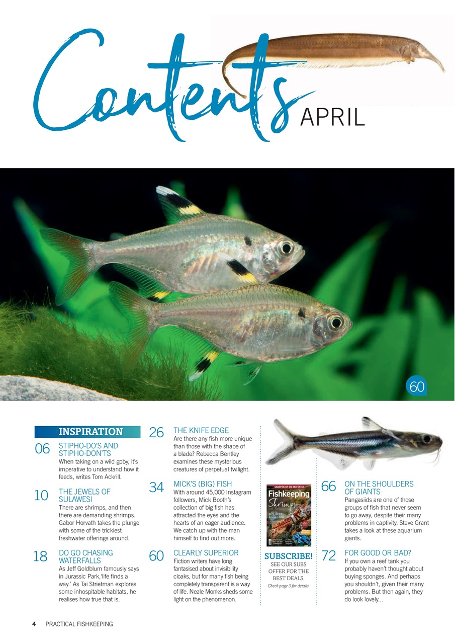 Practical Fishkeeping Preview Pages