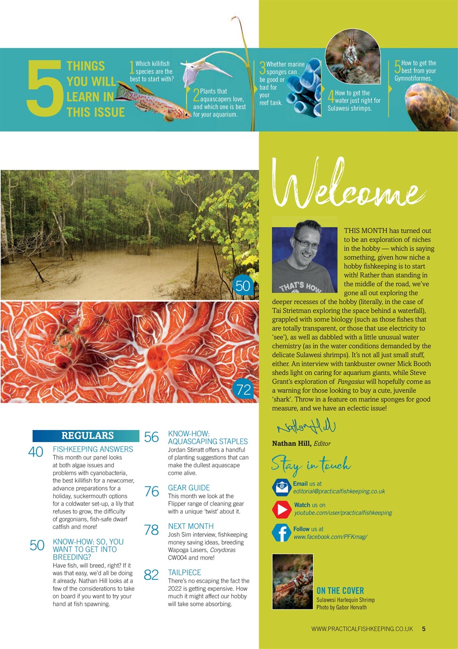 Practical Fishkeeping Preview Pages