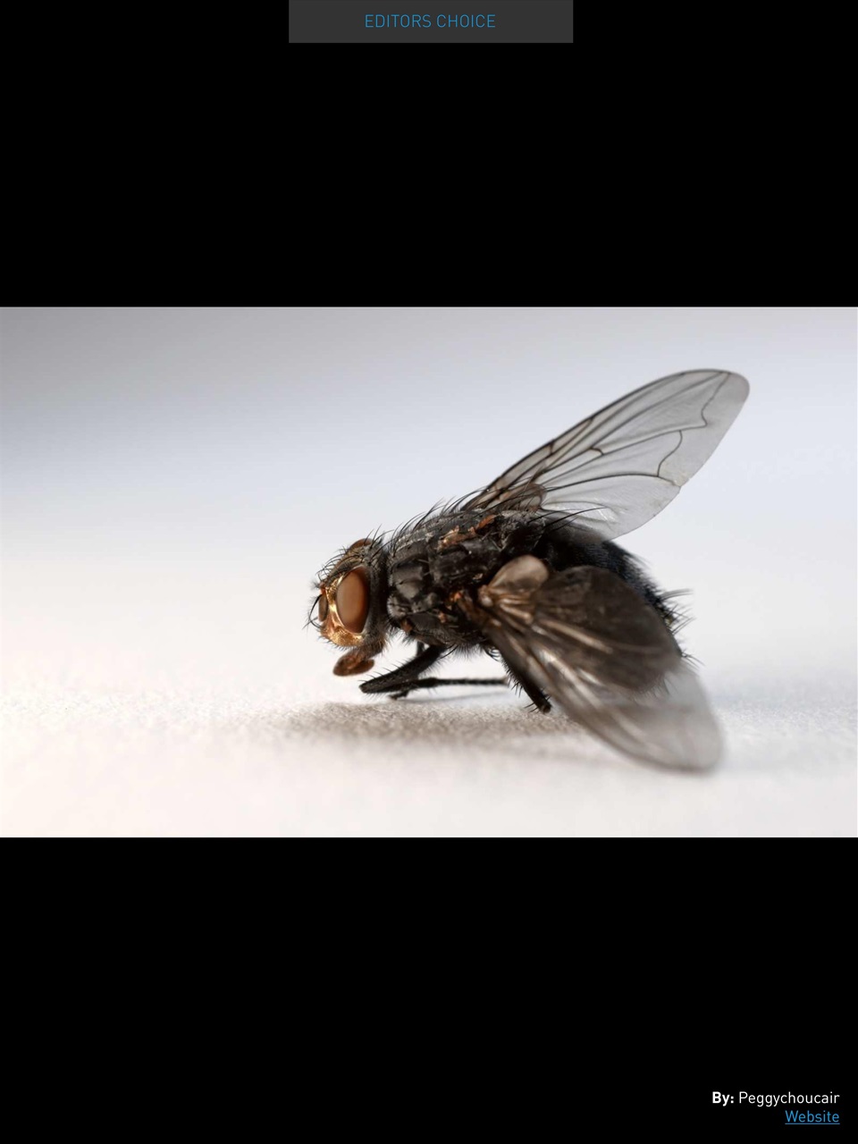 Photography Masterclass Magazine Preview Pages