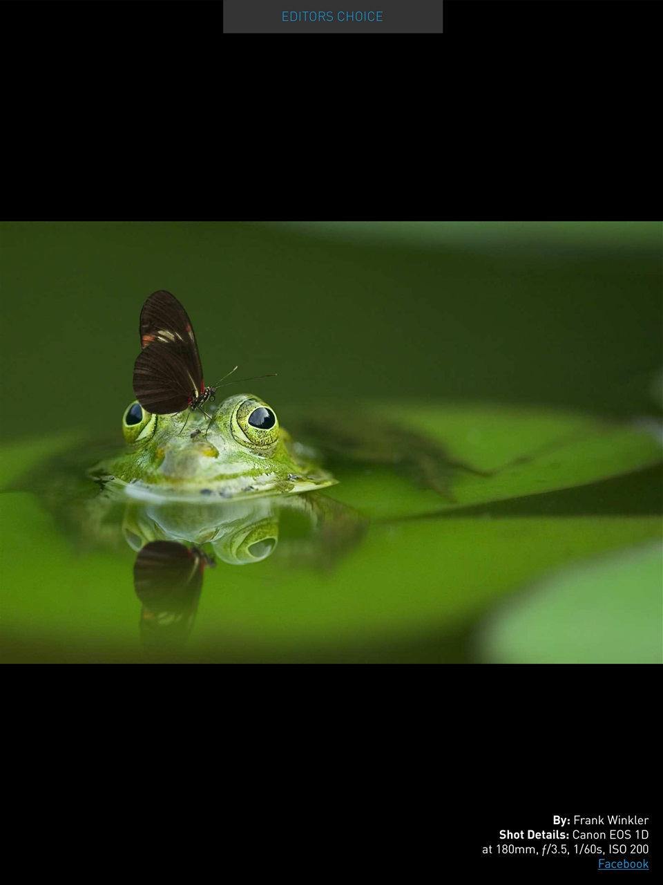 Photography Masterclass Magazine Preview Pages