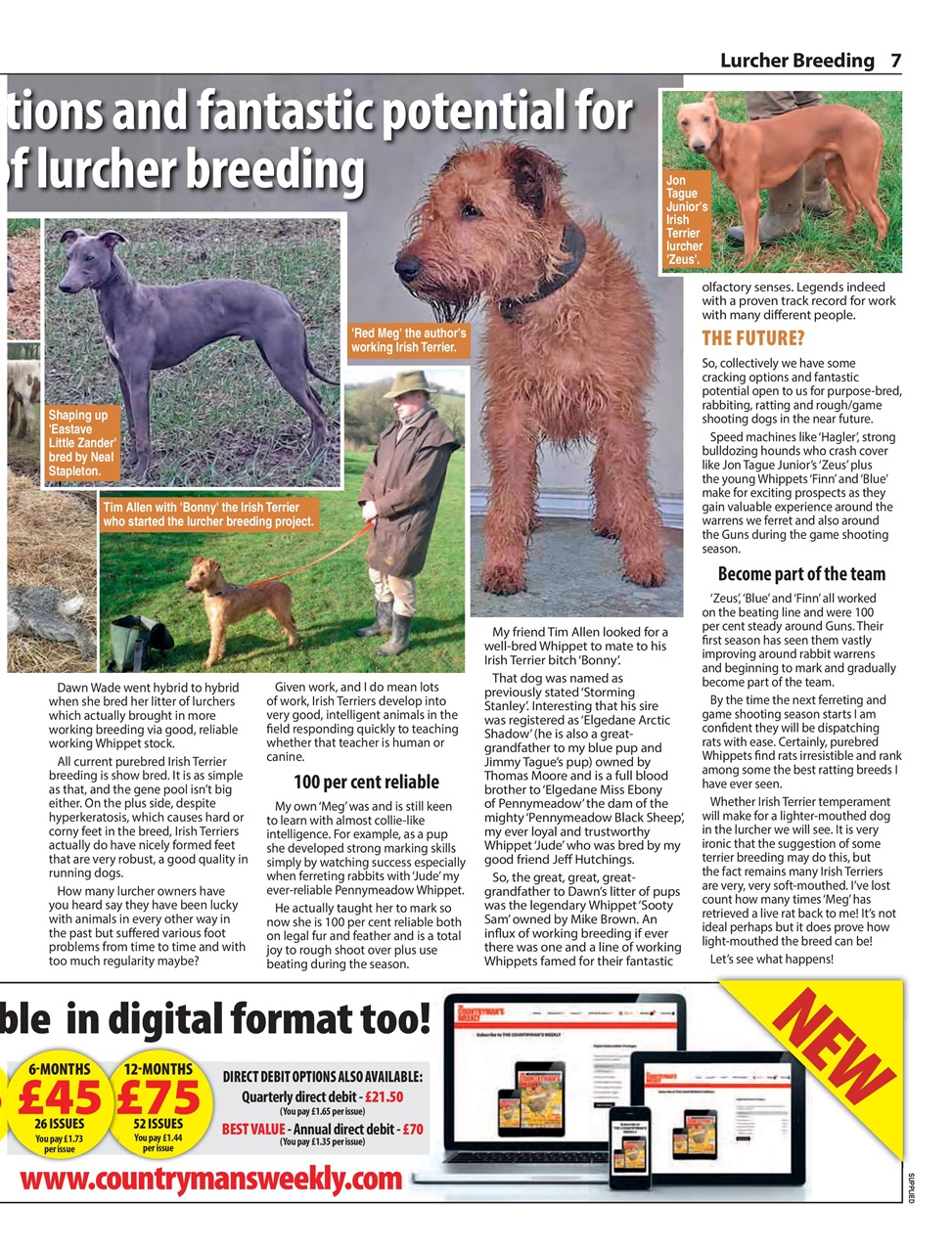 Countryman's Weekly Preview Pages
