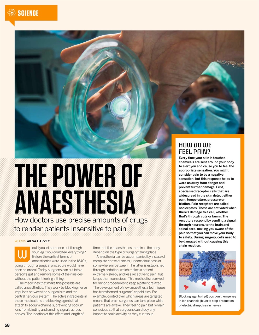 How It Works Preview Pages