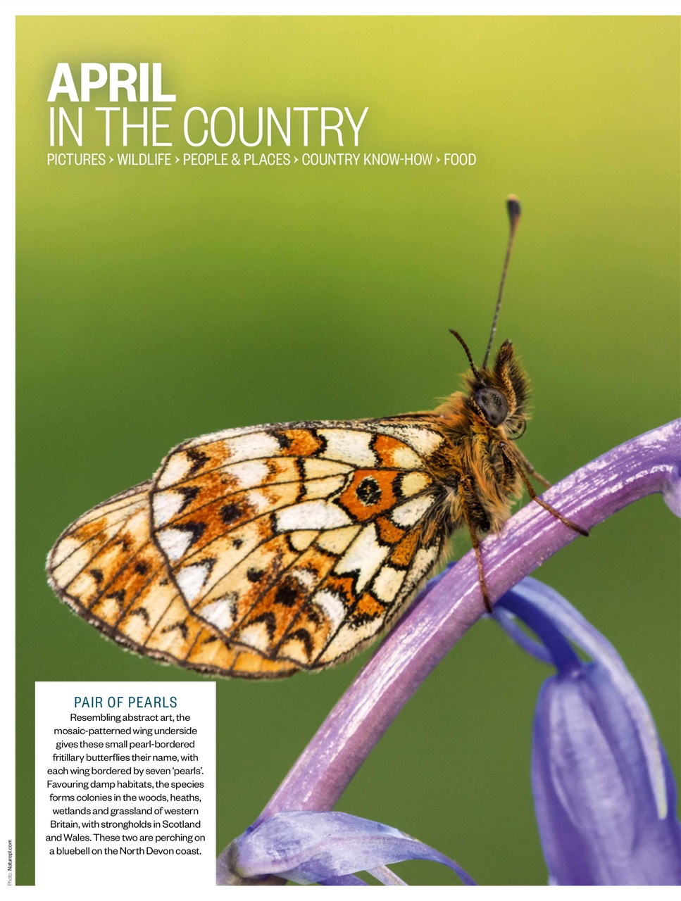 BBC Countryfile Magazine Preview Pages