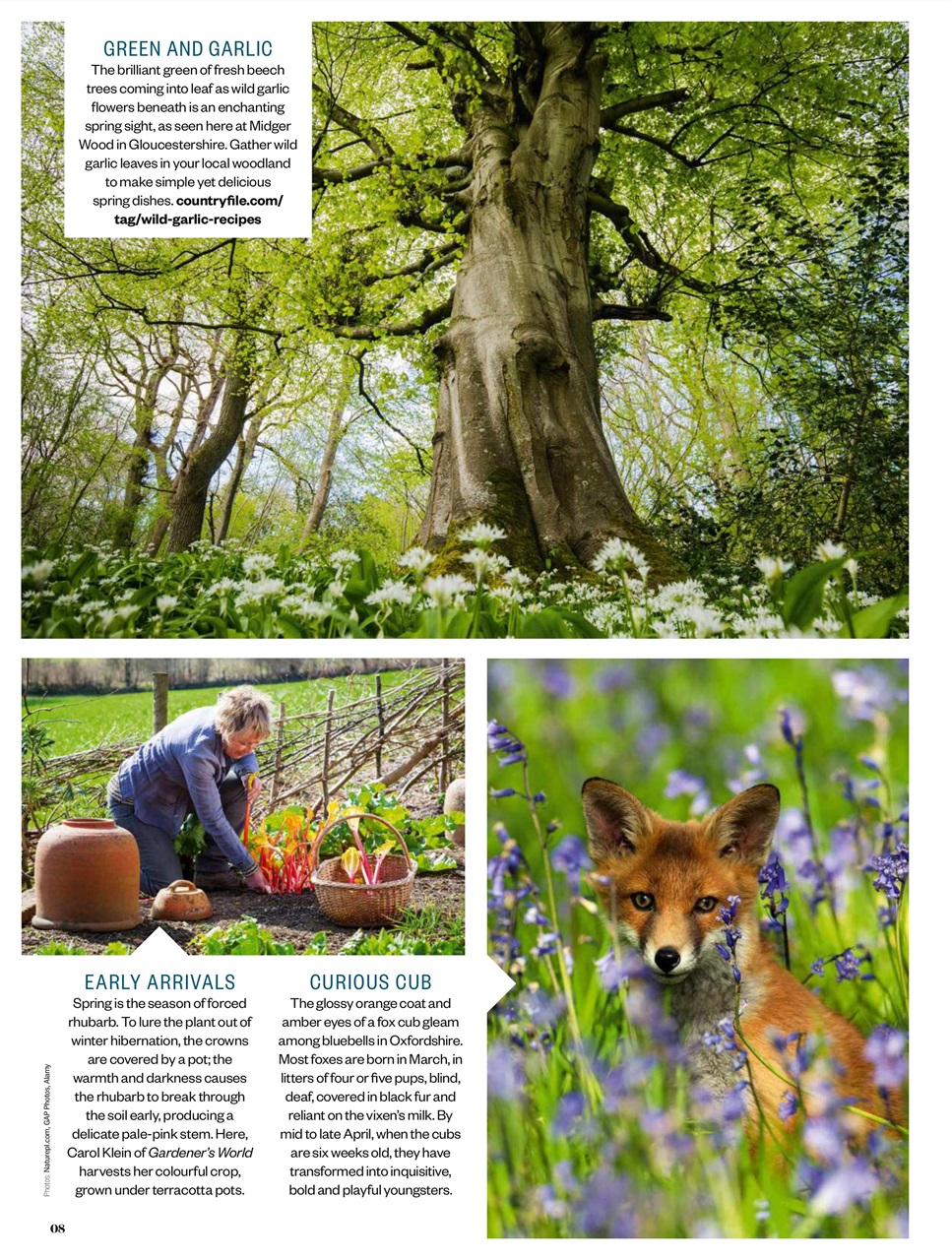 BBC Countryfile Magazine Preview Pages